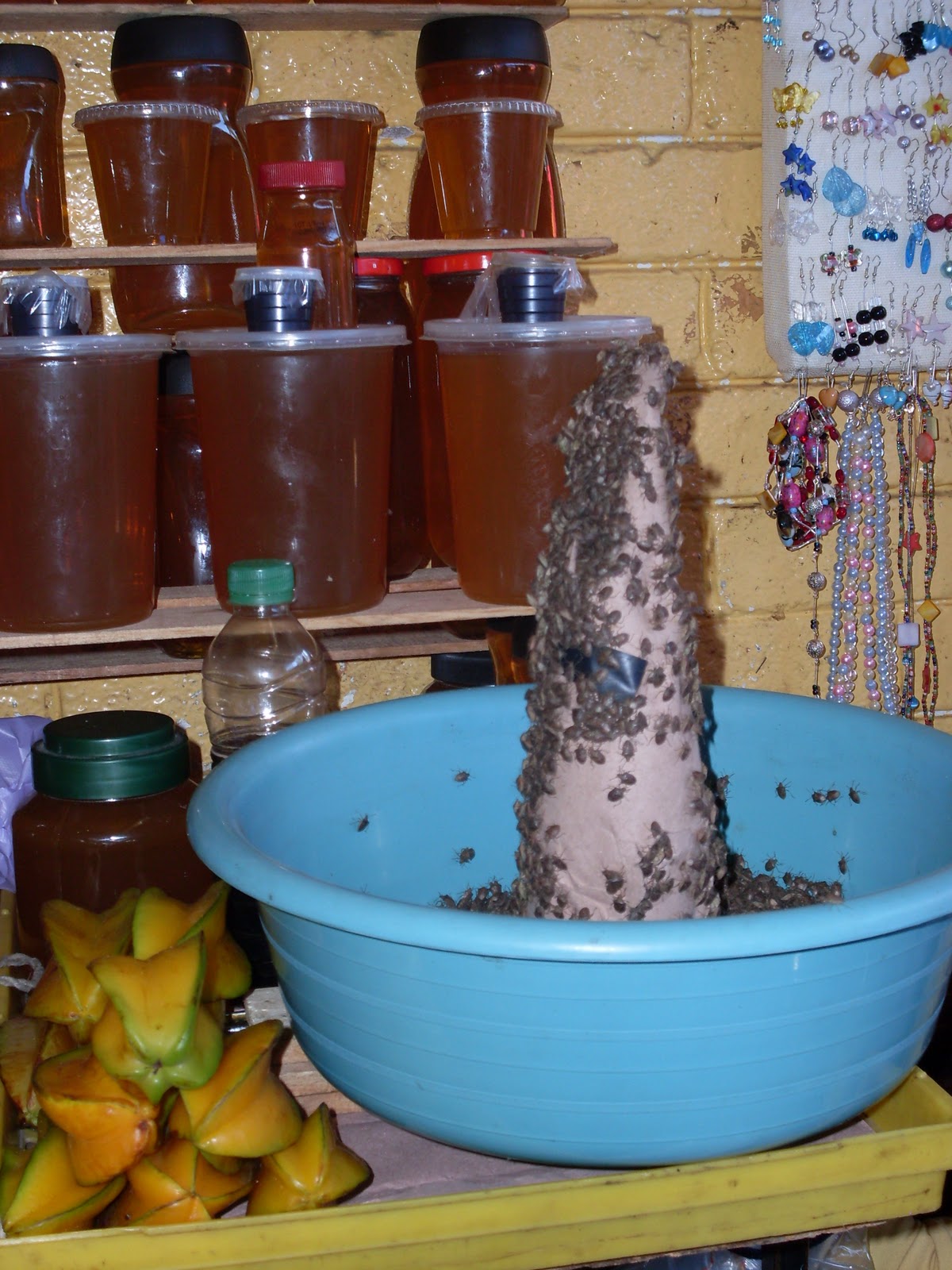 Orchidreiserin: El sabor del alma de los jumiles