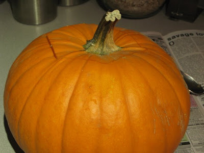the pumpkin
