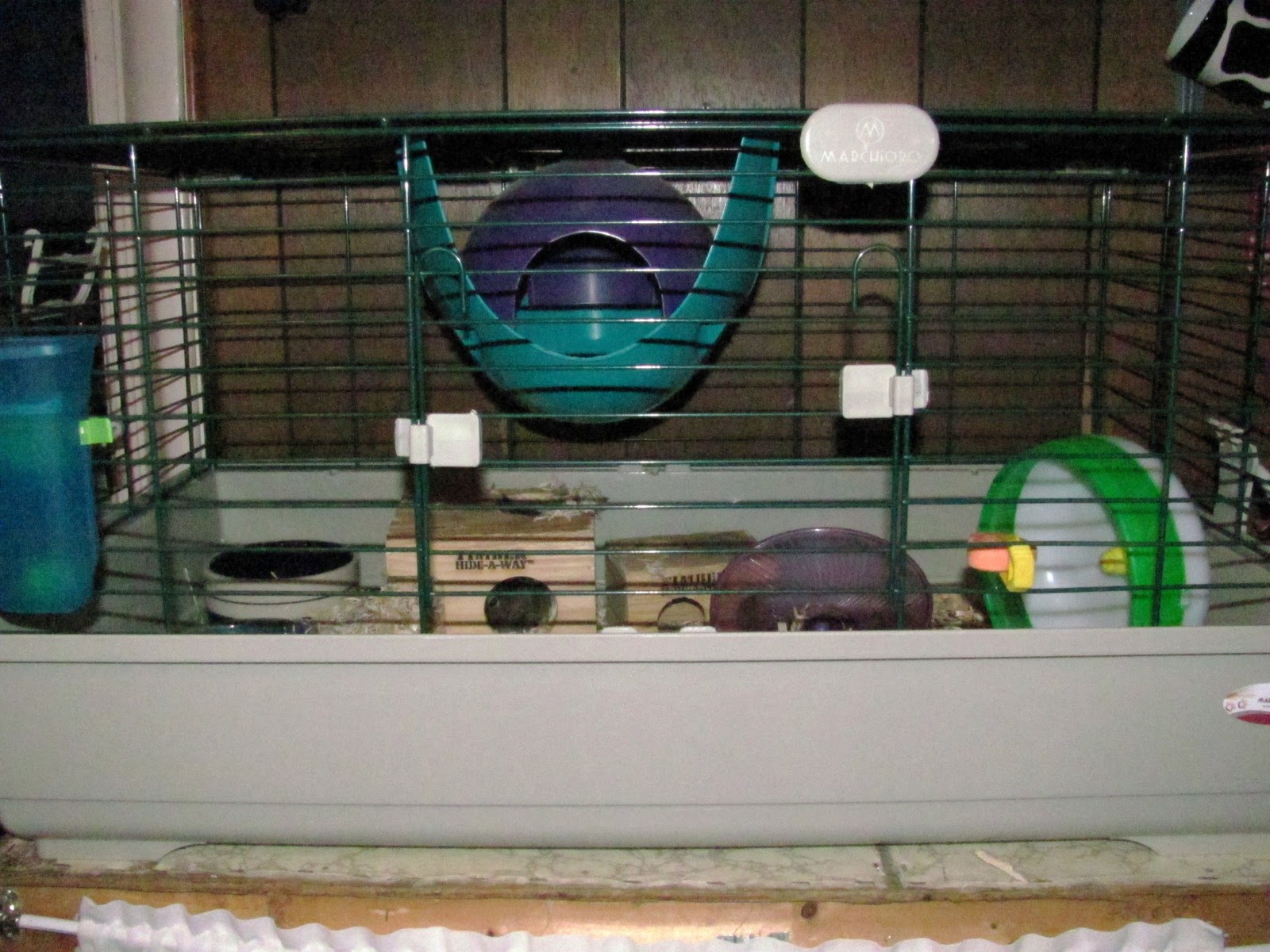 Outrageous Tips About How To Build A Degu Cage - Makepanic42