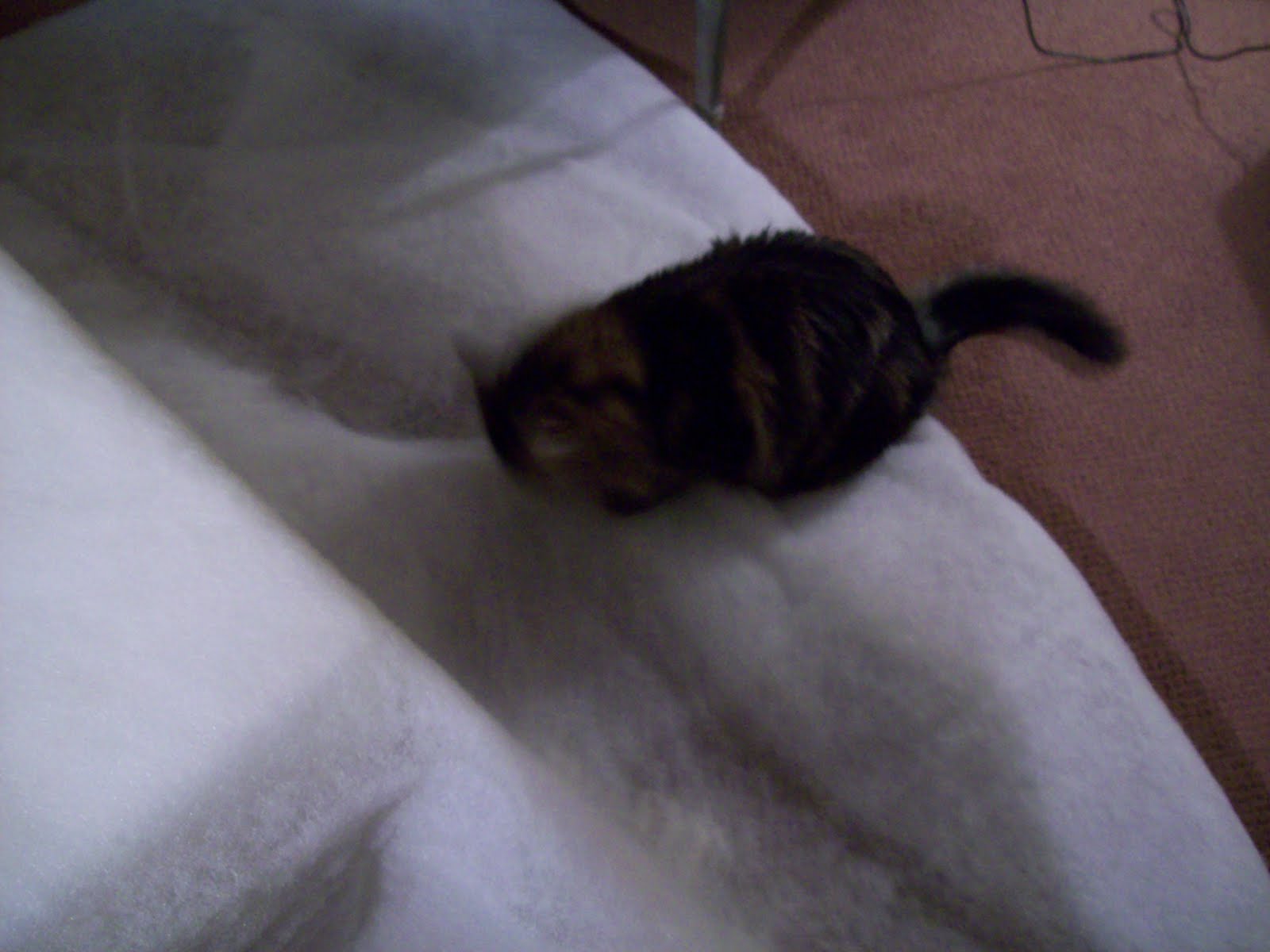 [ottoman+tut+015.jpg]