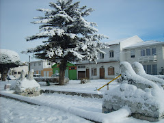 Punta Arenas con nieve