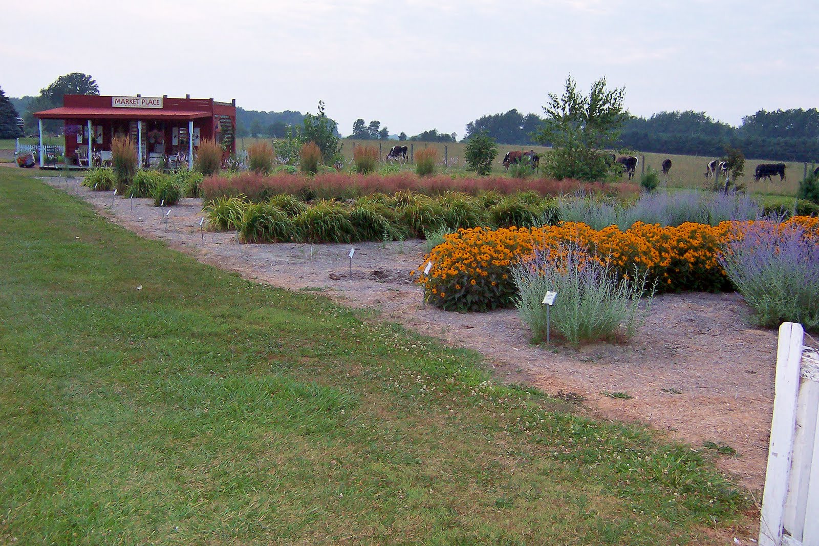 the briar patch About The Briar Patch