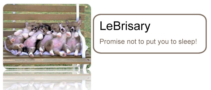 LeBrisary
