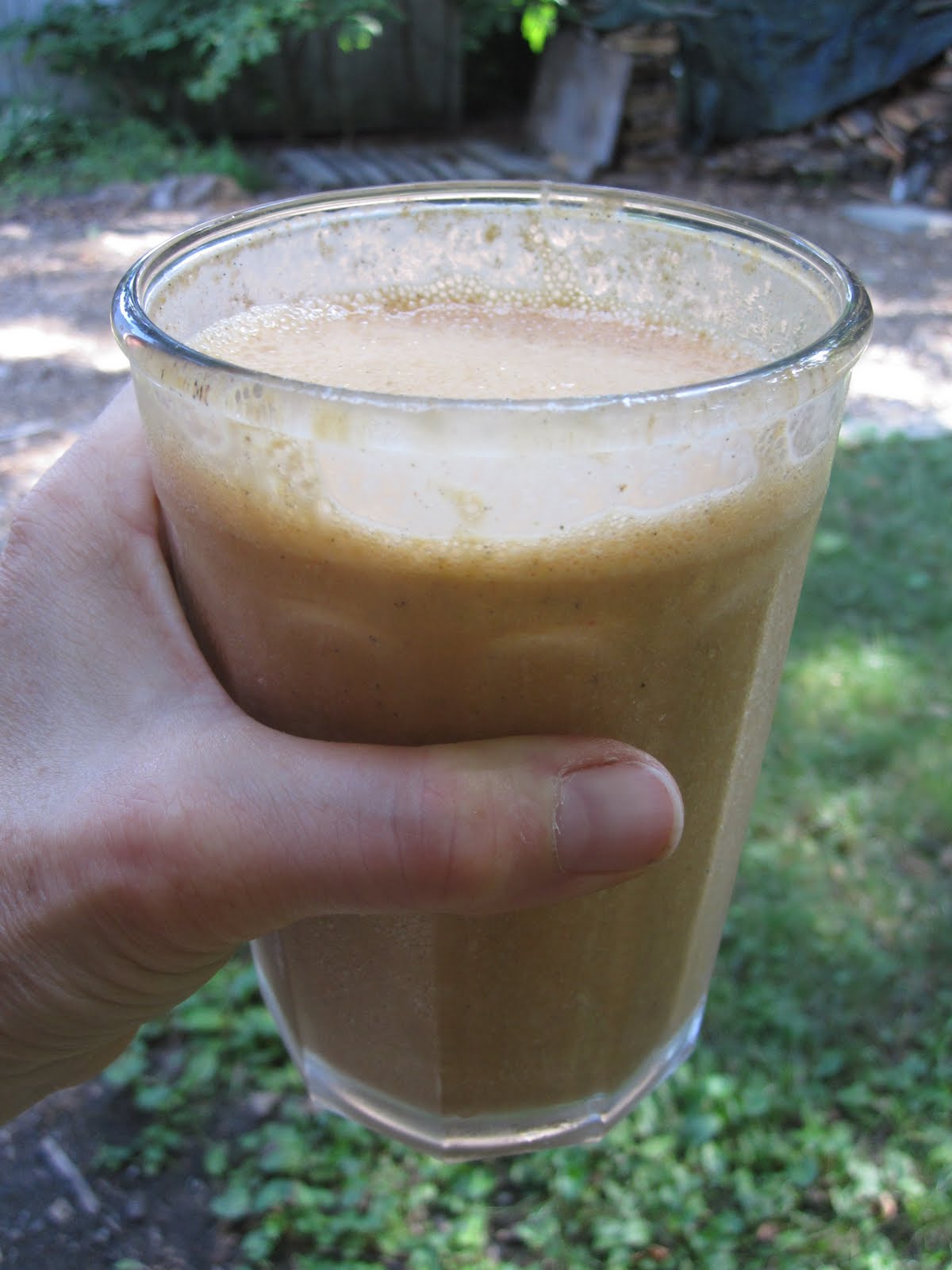 eat to evolve! Vanilla HempMilk Shake with Goji Berries