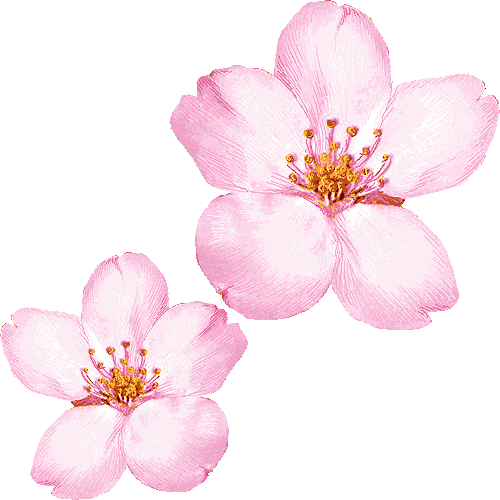 apple blossom clip art free - photo #29