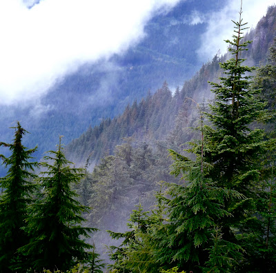 Female Masterbation In Car