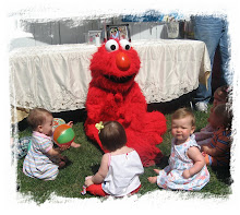 Elmo visits with Elana's guests.