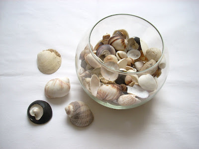 "Taller Antü": marzo 2010