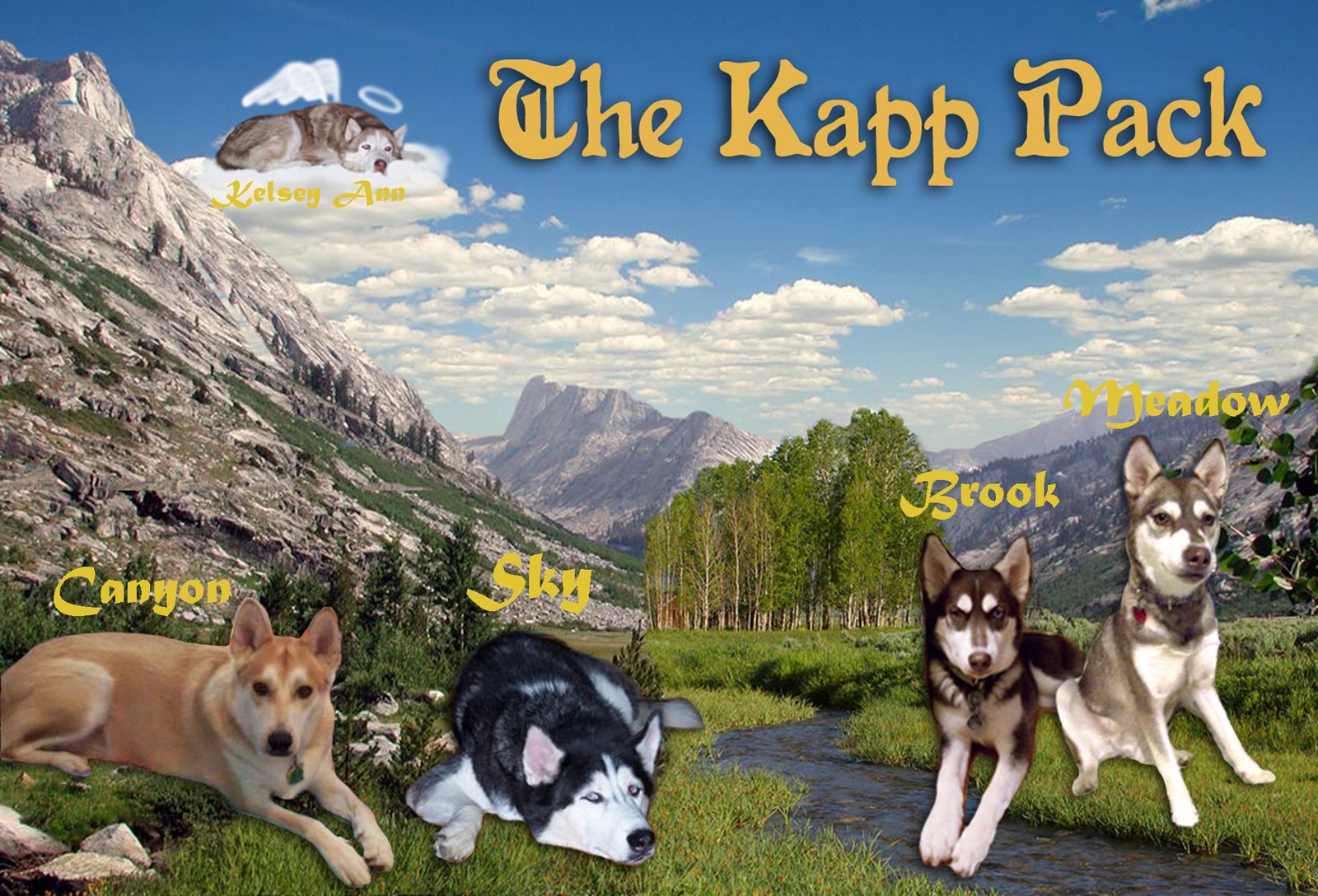 The Kapp Pack