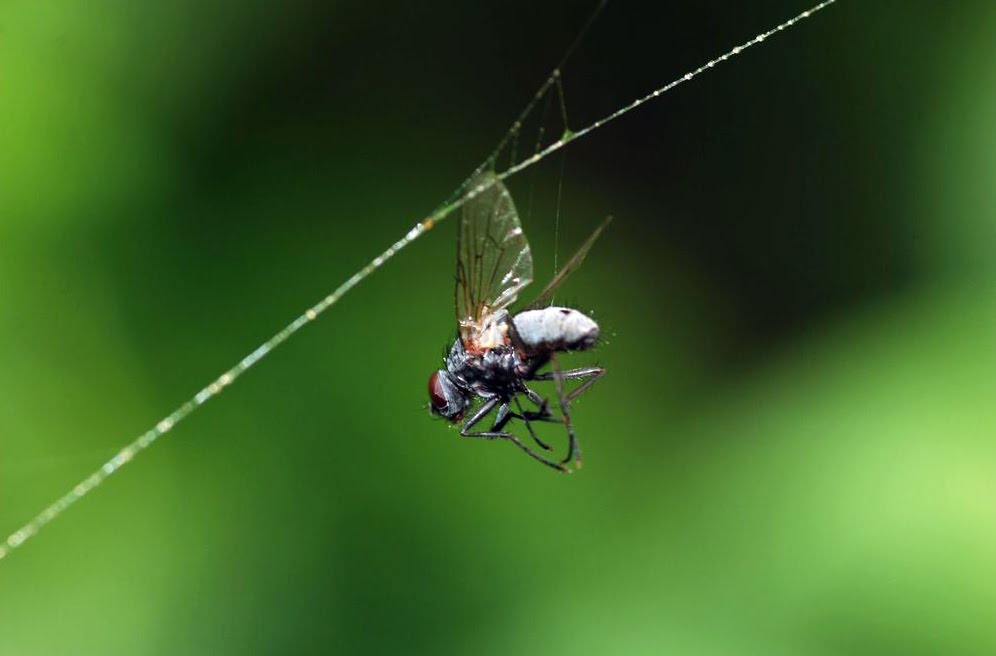 [lagesrapport01.jpg]