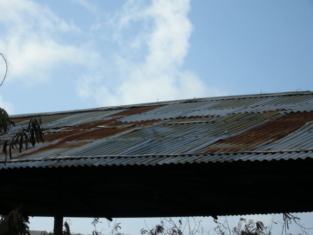 [Metal+roofs+0310031.JPG]