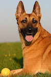 Amy