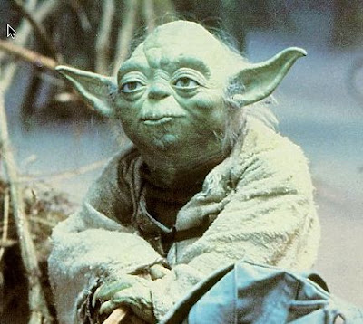 yoda1.jpg