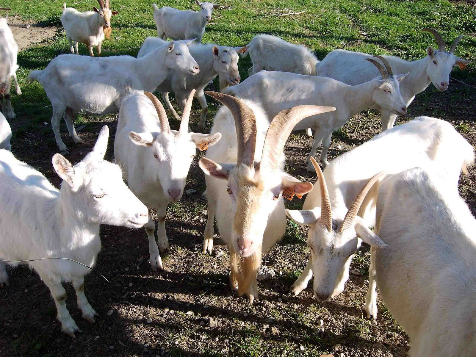 [CAPTURADO_2004_11_13_00027.jpg]