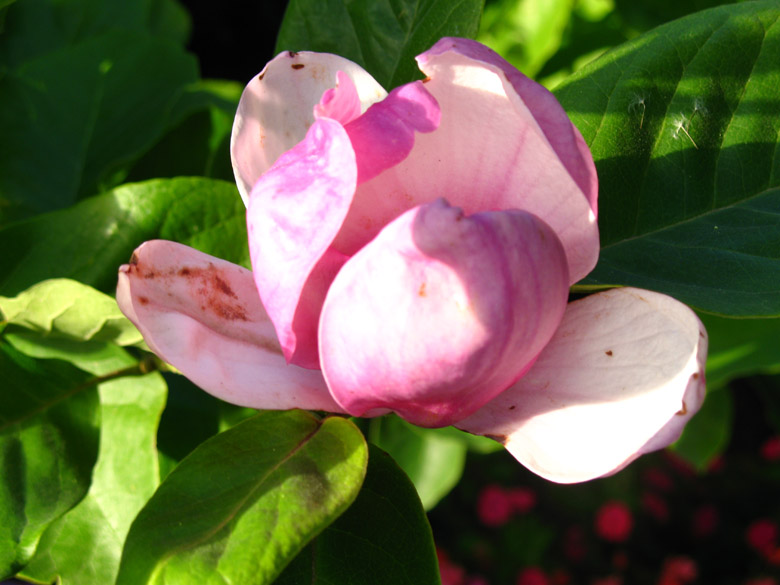 [11-07-2009_099.jpg]