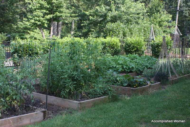 An Accomplished Woman: Gardening: A pretty vegetable garden