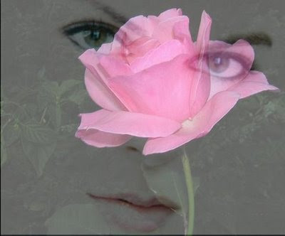 rosa+mulher+olhar.jpg