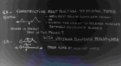 Sole Luna Integrative Yoga: Psoas Muscles