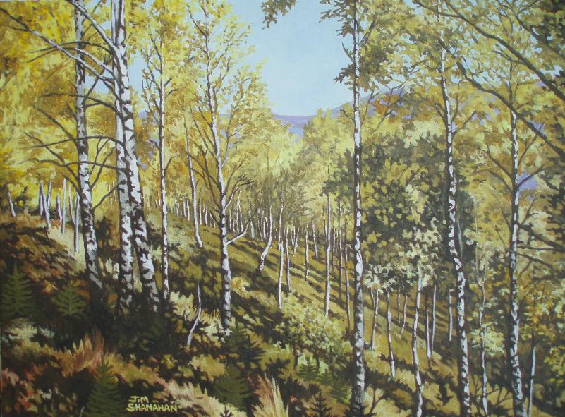 Birch Forest -- Sold