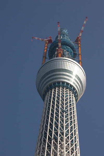 東武橋から見た建設中(529m)の東京スカイツリー・ズーム