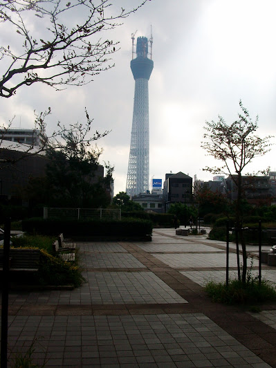 ふれあい広場から見た建設中(438m)の東京スカイツリー