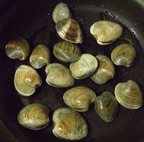 [Clams.JPG]