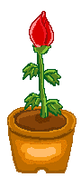 flores1.gif