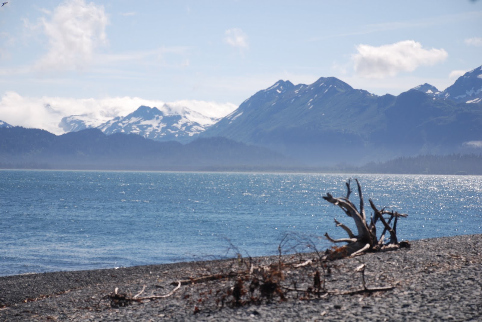 bach traveling time Homer Alaska