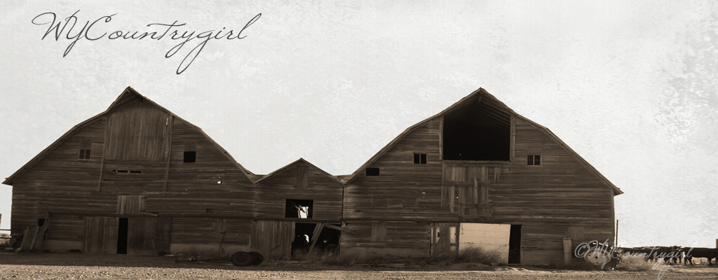 Wycountrygirl