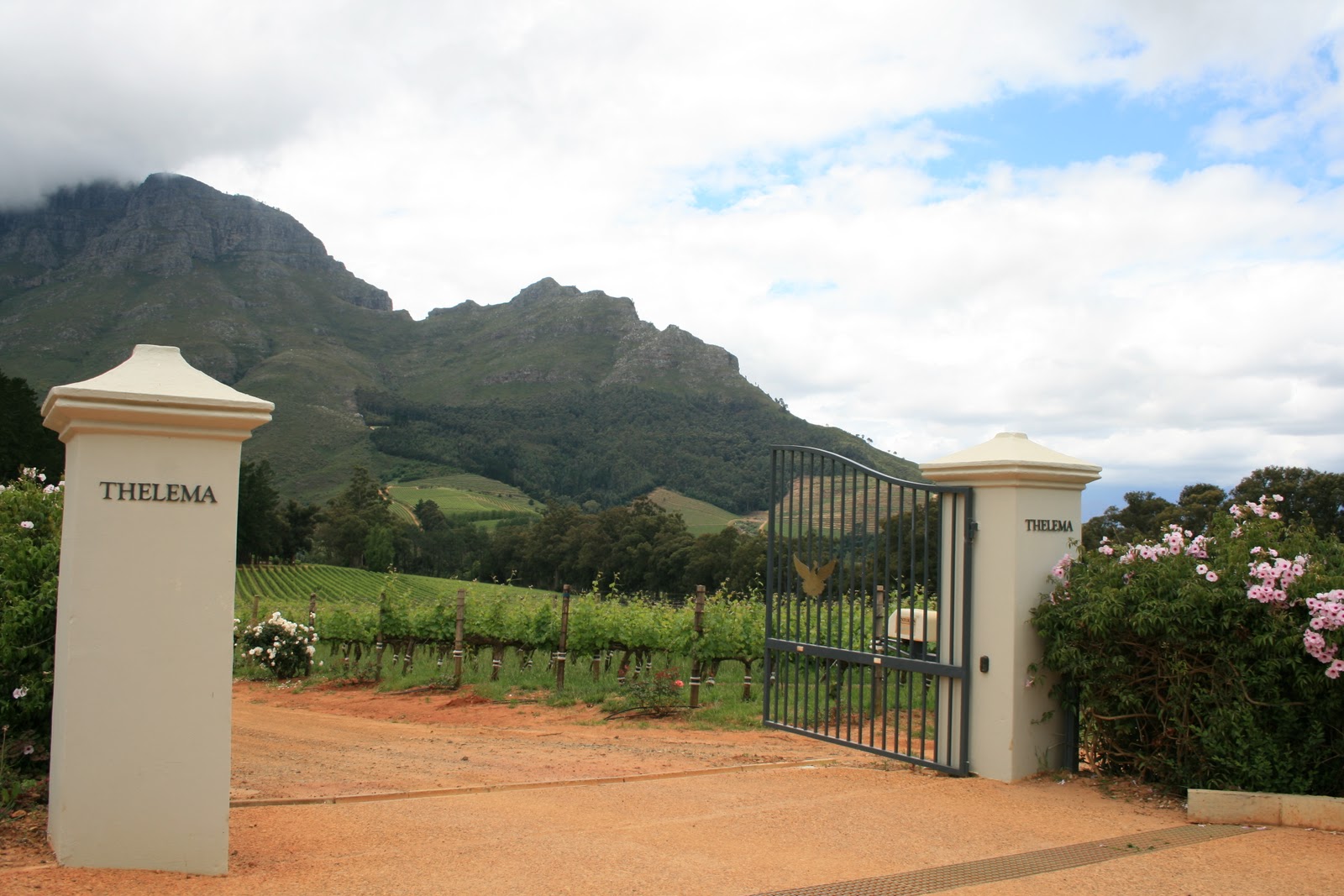 Marie´s travel diary Top 10 South African Wine Estates