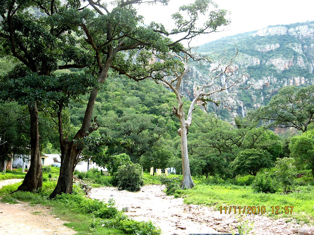 Ebharat Darshan November 2010