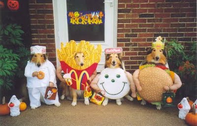 [Fast_food_dogs.jpg]