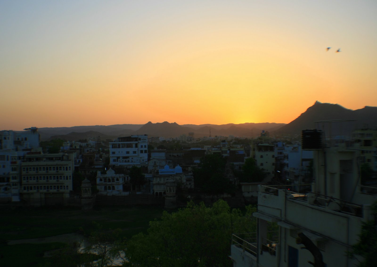 [IMG_2494.JPG]