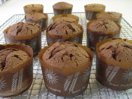 [Chocolate+mud+cupcakes+1.jpg]