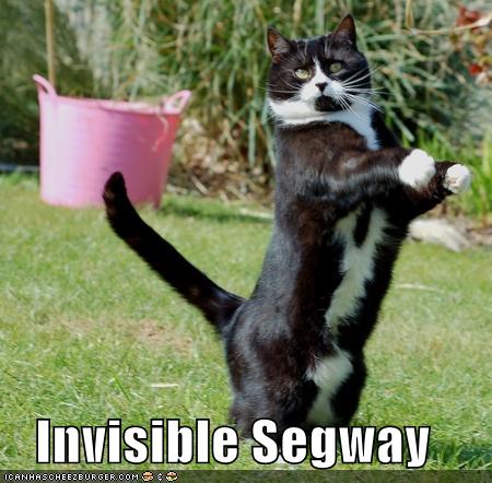 [Image: funny-pictures-invisible-segway-cat1.jpg]