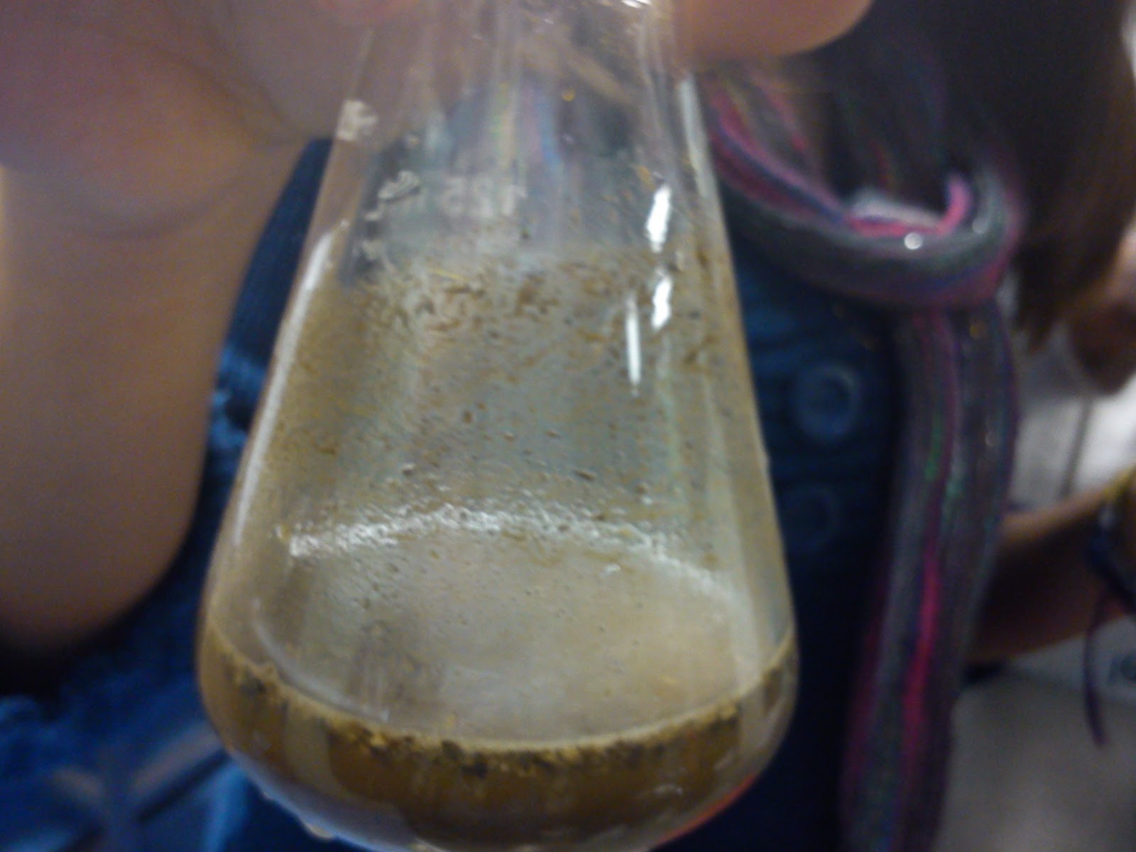 ¿Qué es la hidrosfera? Características, funciones e importancia