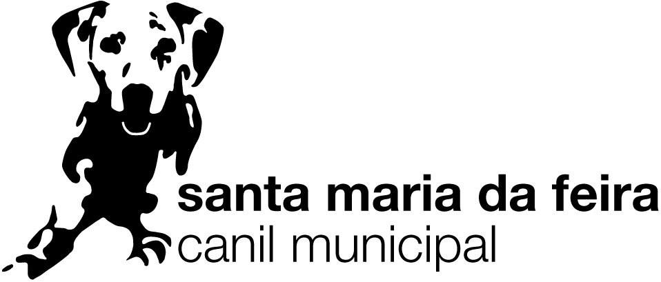 [canil+municipal+pb+1.jpg]