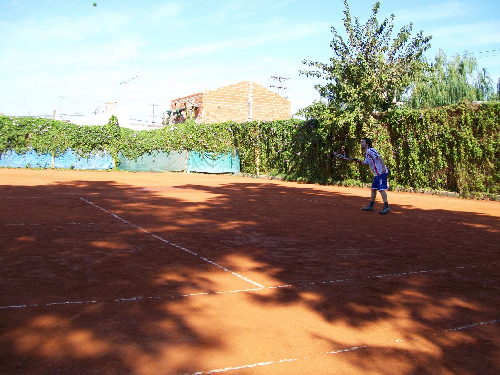 [rg16.JPG]