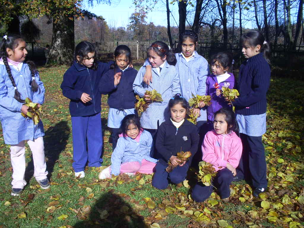 CHILE 2010 ESCUELAS RURALES