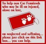 Help Our Cat friends