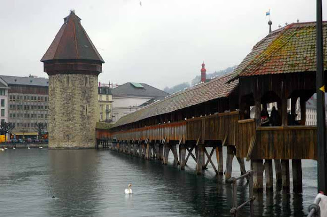 Lucern