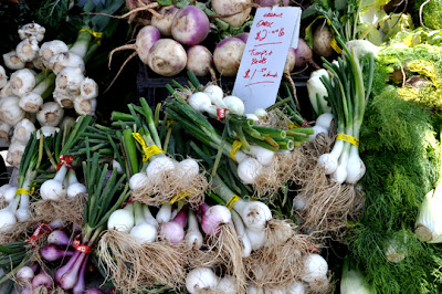 التاريخ Garlic 2009_05_11-garlic_on