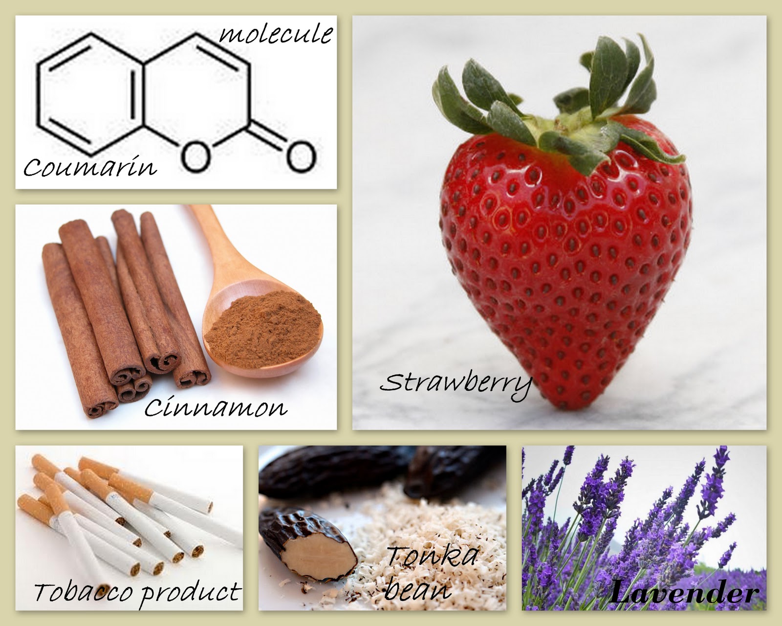The HealthNut Corner Coumarin & CinnamonGood OR BAD