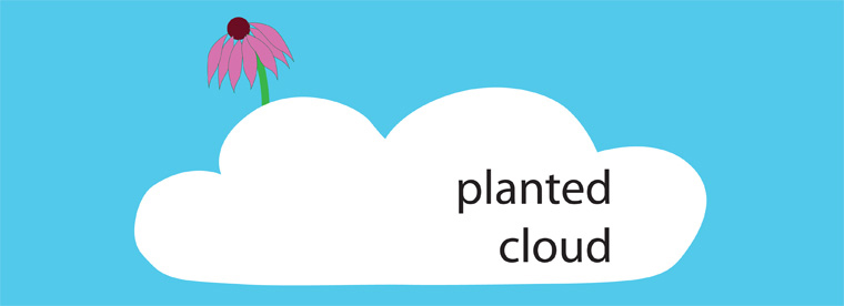 planted cloud