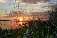 Midsummer in Sweden