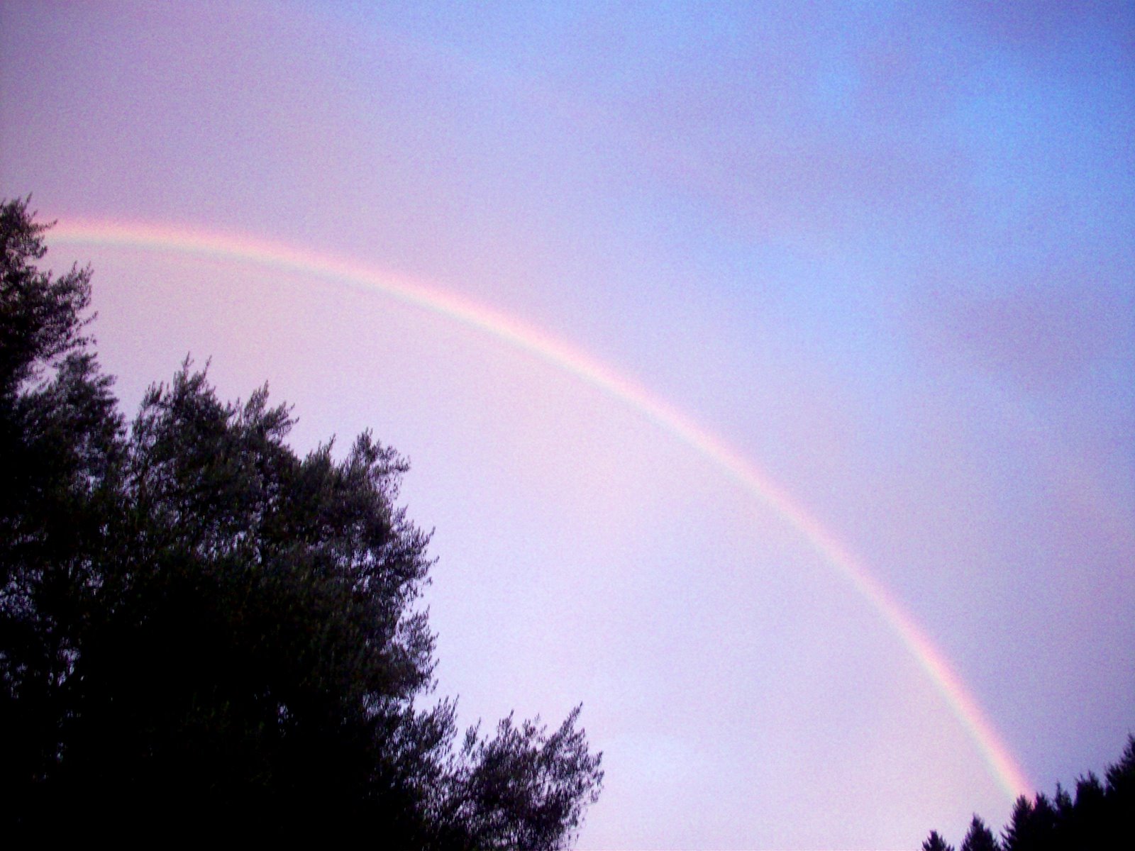 [rainbow+005.jpg]