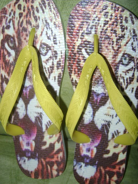 ANIMAIS QUE TANTO GOSTO!