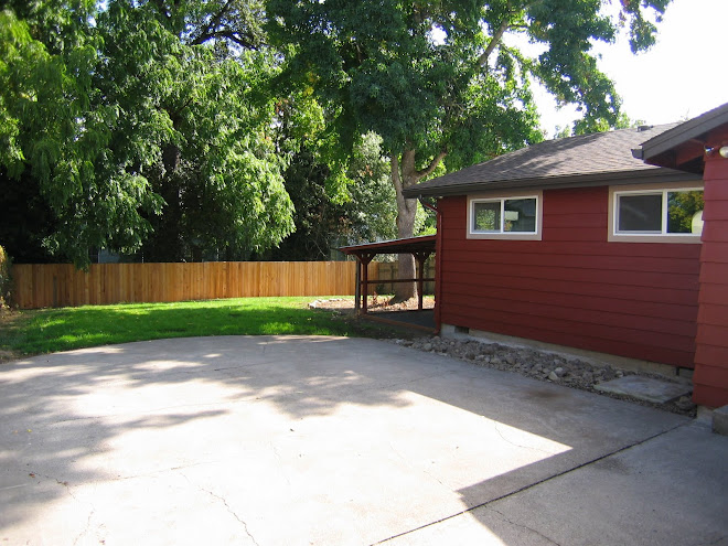 Patio and Back Yard
