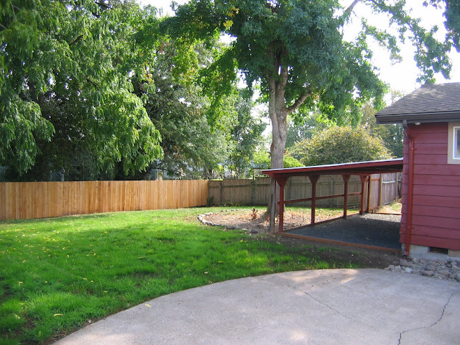 Back Yard and Shelter
