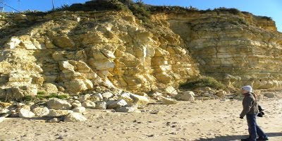 Biologia e Geologia O que nos dizem as rochas algarvias?
